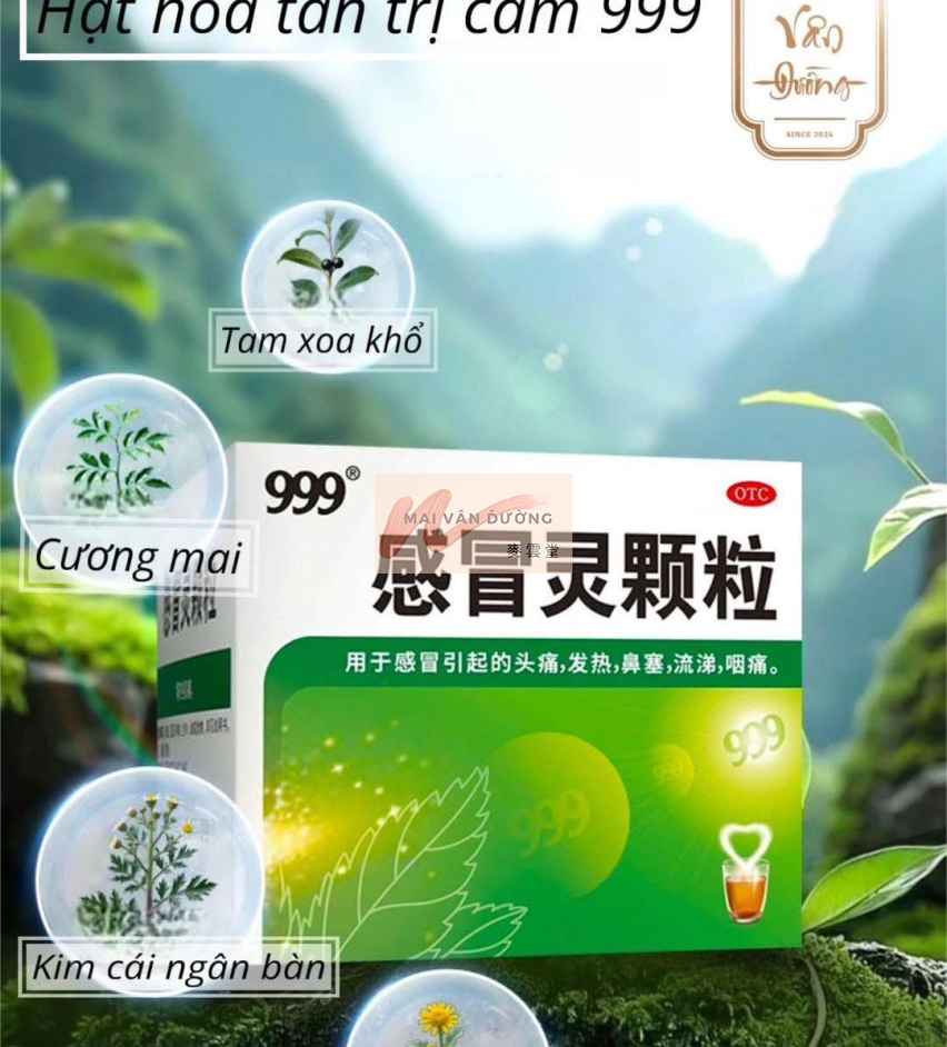 999 CẢM MẠO LINH - GIẢI CẢM HẠ SỐT NẶNG