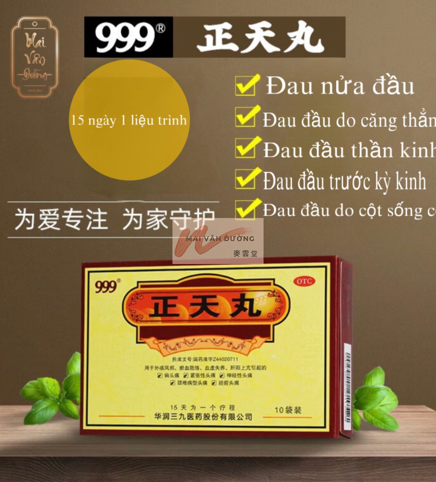 999 ĐAU ĐẦU - CHÍNH THIÊN HOÀN