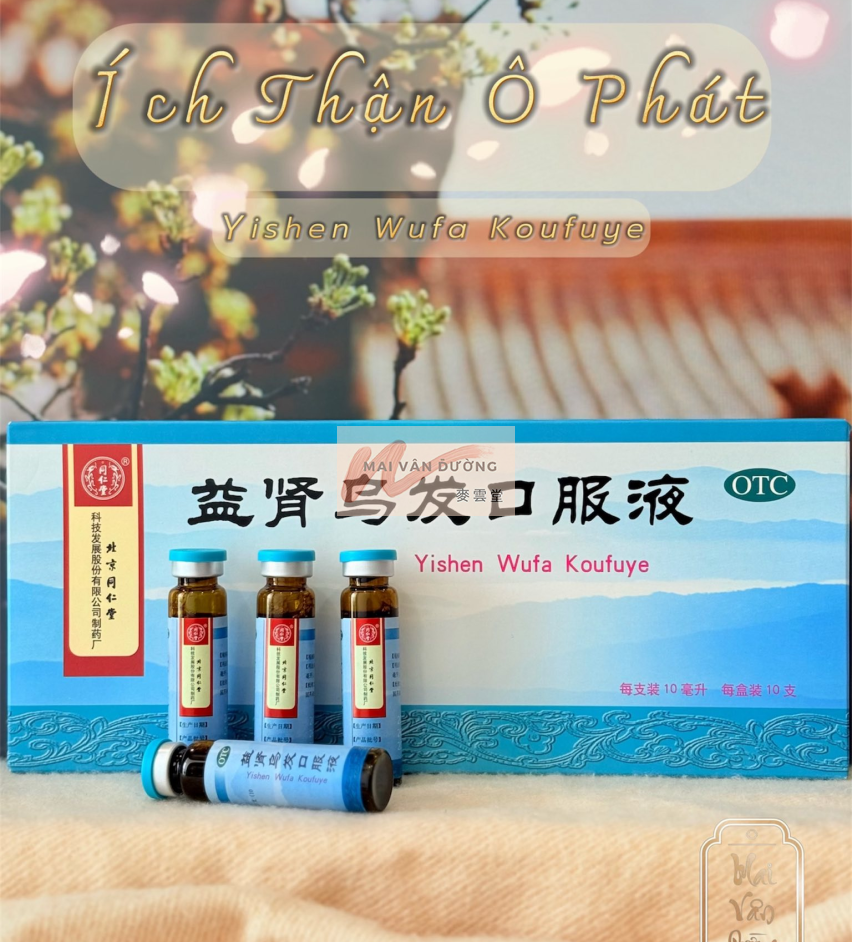  BỔ THẬN ĐEN TÓC - ÍCH THẬN Ô PHÁT 
