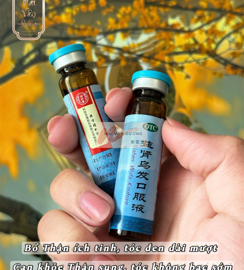  BỔ THẬN ĐEN TÓC - ÍCH THẬN Ô PHÁT 