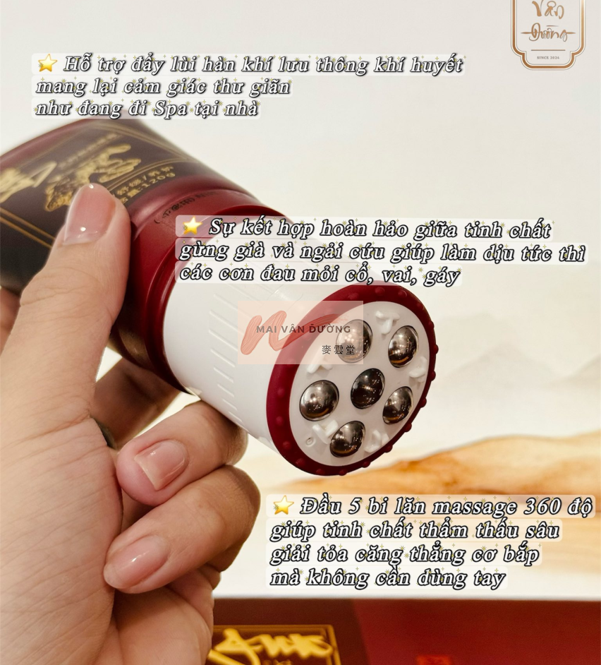 THANH LĂN KEM GỪNG NGẢI CỨU 