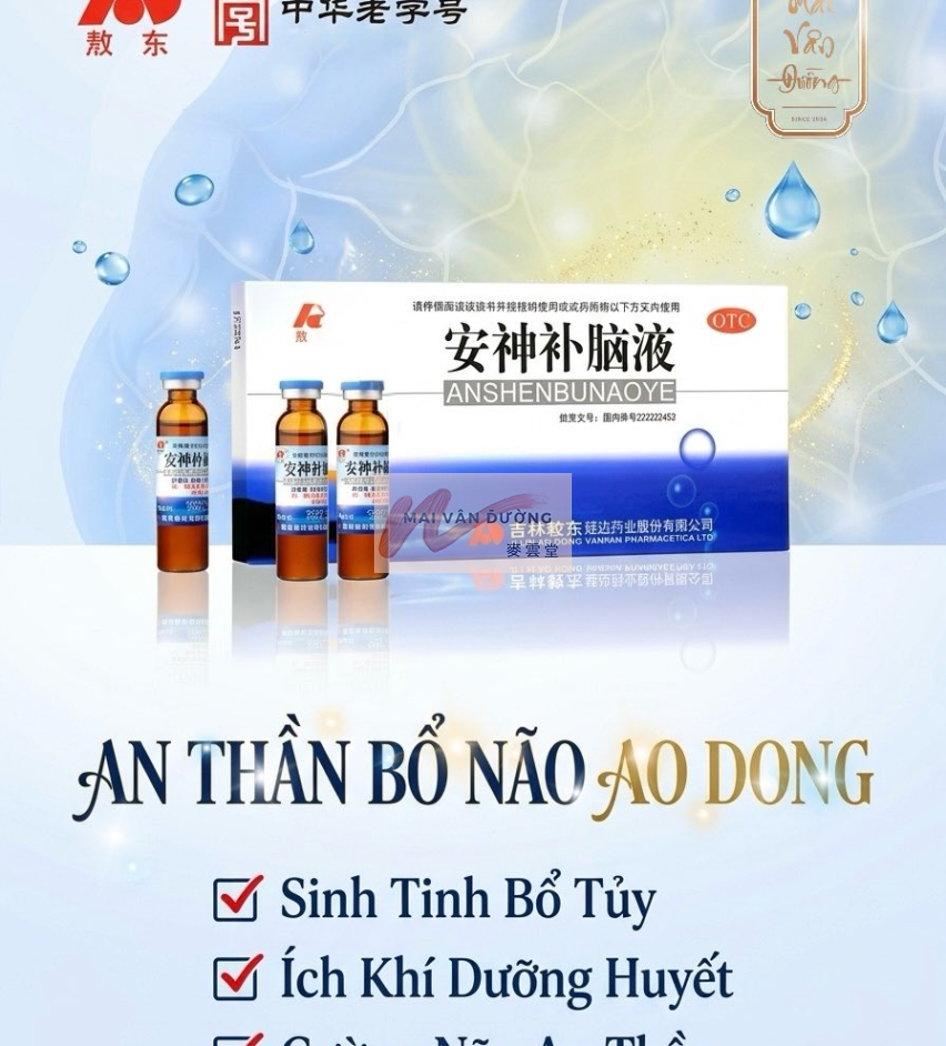 AN THẦN BỔ NÃO AO DONG 